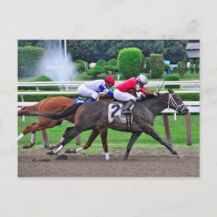 Thoroughbred Racing at Historic Saratoga Racetrack Postcard