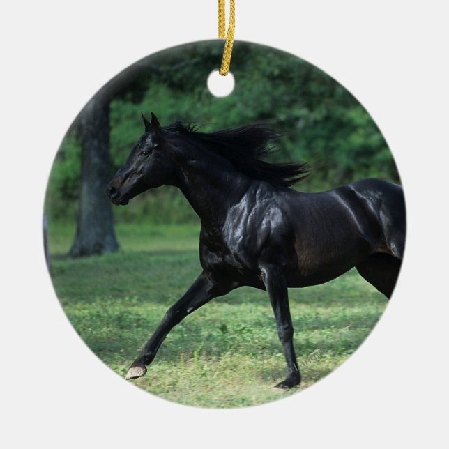 Thoroughbred Running Ceramic Ornament (Front)