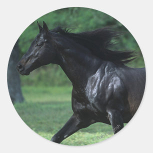 Thoroughbred Running Classic Round Sticker