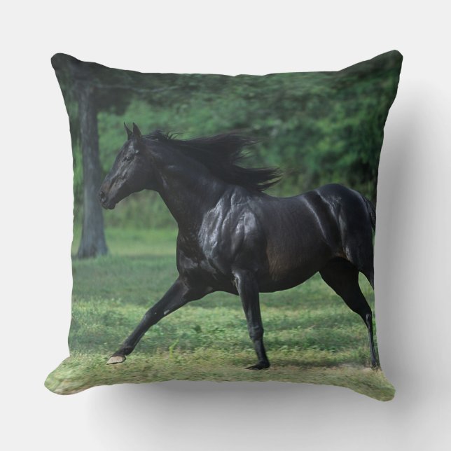 Thoroughbred Running Cushion (Front)