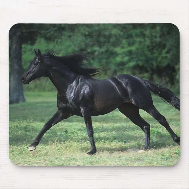 Thoroughbred Running Mouse Pad (Front)