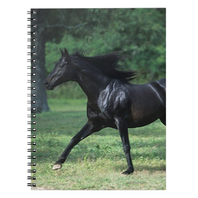 Thoroughbred Running Notebook (Front)