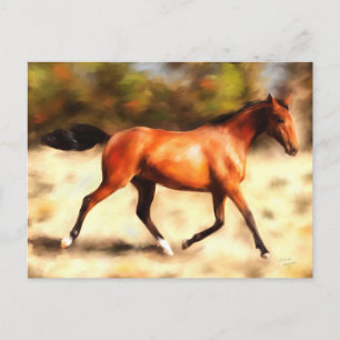 Thoroughbred Spirit Horse Art Postcard