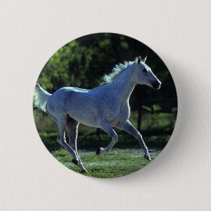 Thoroughbred Stallion Running 6 Cm Round Badge
