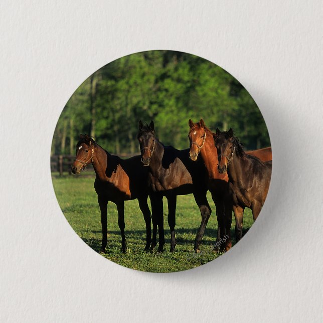 Thoroughbred Yearlings 6 Cm Round Badge (Front)