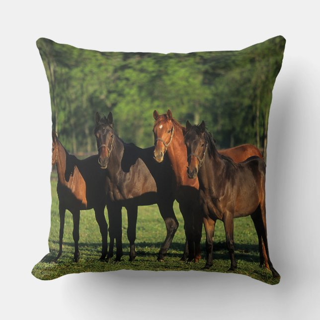 Thoroughbred Yearlings Cushion (Front)