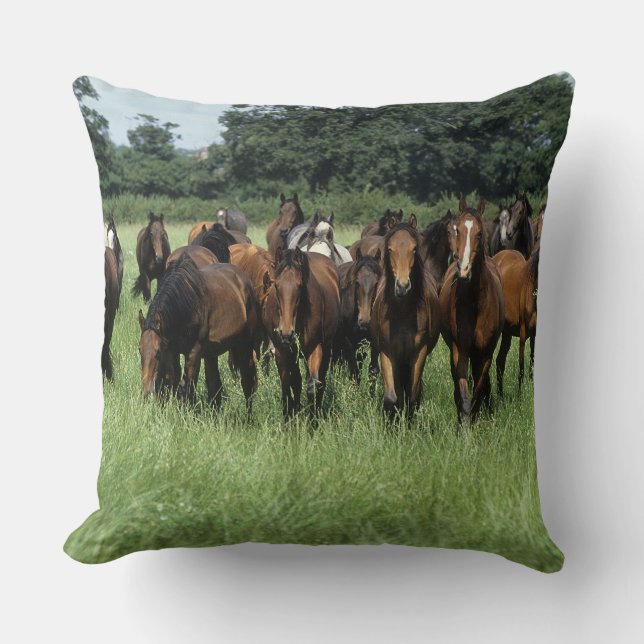 Thoroughbred Youngsters Cushion (Front)