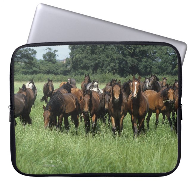 Thoroughbred Youngsters Laptop Sleeve (Front)