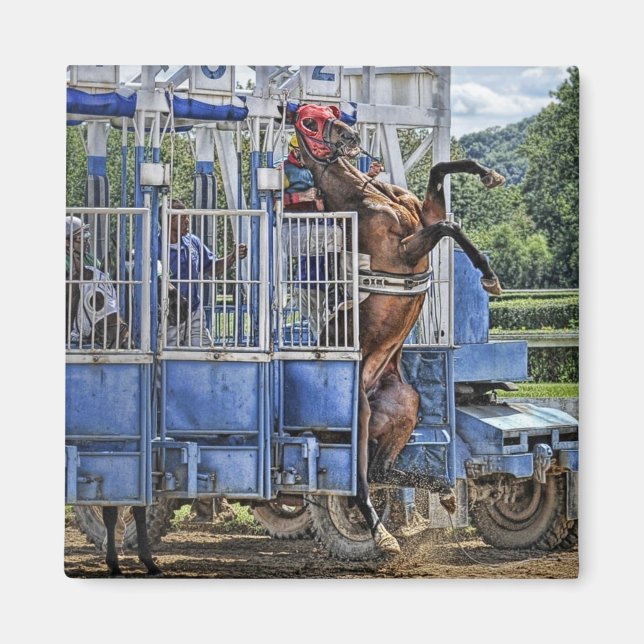 Thoroughbreds "Risky Business"  Square Magnet (Front)