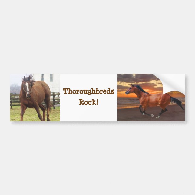 Thoroughbreds Rock Bumper Sticker (Front)