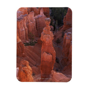 Thor's Hammer hoodoo on Navajo Trail Magnet