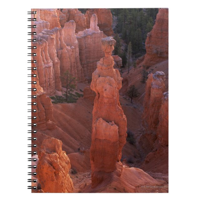 Thor's Hammer hoodoo on Navajo Trail Notebook (Front)