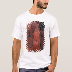 Thor's Hammer hoodoo on Navajo Trail T-Shirt
