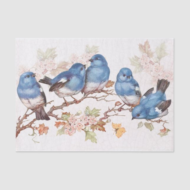 Those baby blues tissue paper (Front)