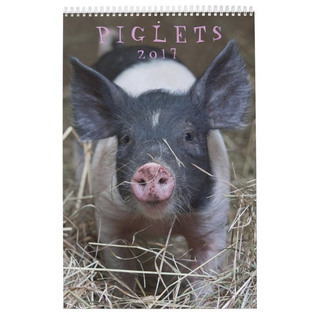Those Piglets - 2017 Animal Wall Calendar (Cover)