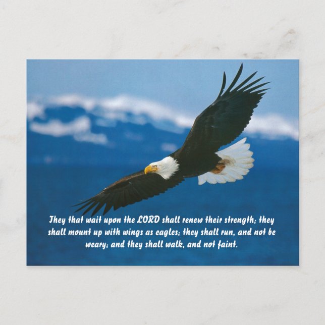 Those Who Wait On The Lord Postcard (Front)