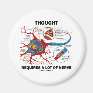 Thought Requires A Lot Of Nerve (Synapse) Magnet