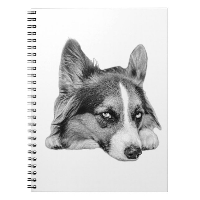 Thoughtful Companion Notebook (Front)