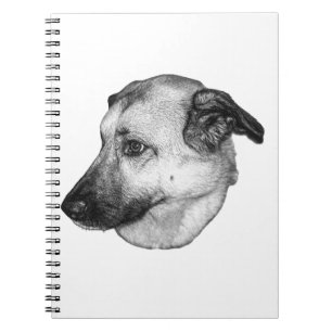 Thoughtful Eyes, Grayscale Notebook