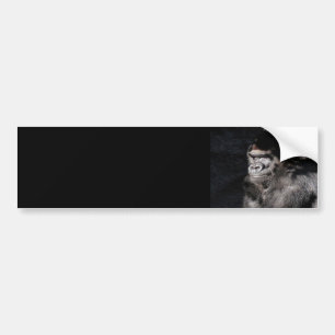 Thoughtful  Gorilla Bumper Sticker