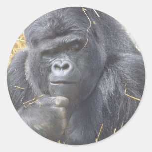 Thoughtful Gorilla Sticker