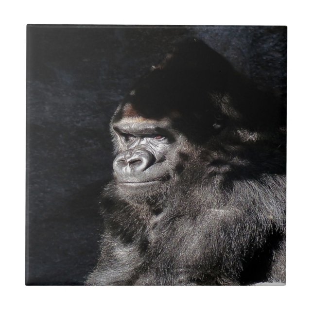 Thoughtful  Gorilla Tile (Front)