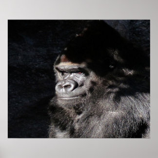 Thoughtful  Gorilla Wall  Poster