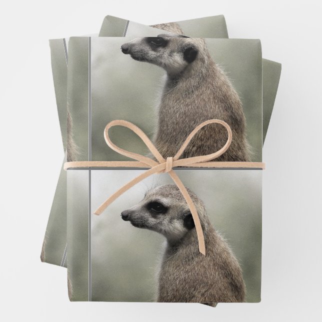 Thoughtful Meerkat Wrapping Paper Sheets (In situ)