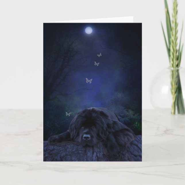 Thoughtful moonlight newfoundland greeting card (Front)