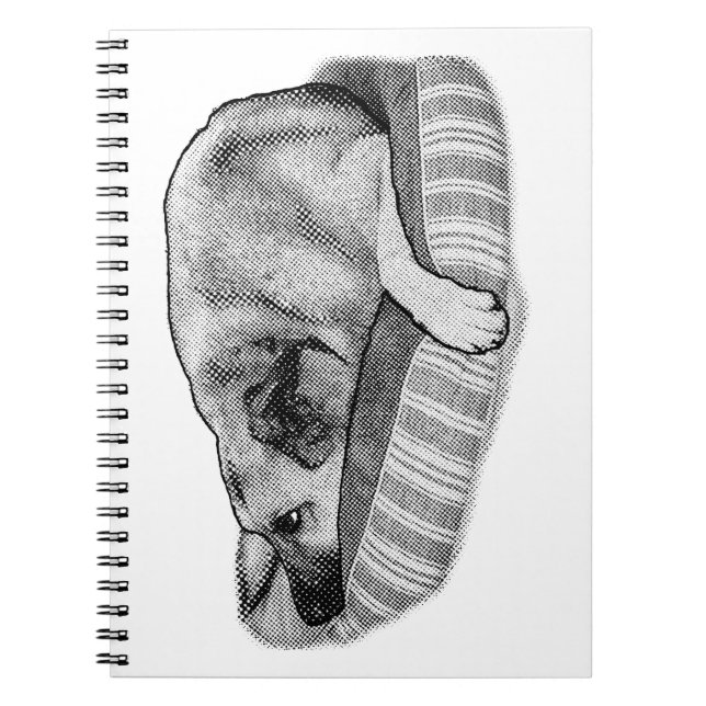 Thoughtful Rest, Vintage Pup Notes Notebook (Front)
