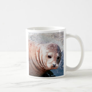 Thoughtful Seal Coffee Mug