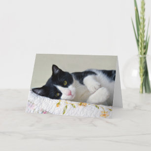 Thoughtful Tuxedo Cat Card