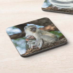 Thoughtful Vervet Monkey – Nature Inspired Coaster