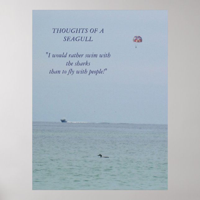 Thoughts of a Seagull 2 Poster (Front)