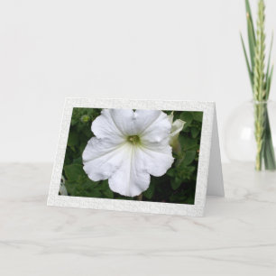 Thoughts of You Petunia Card