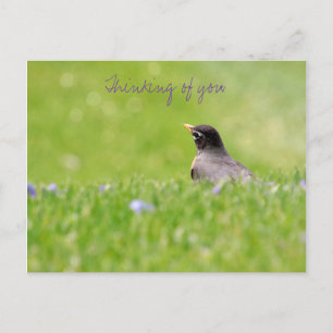 Thoughts of You Postcard 