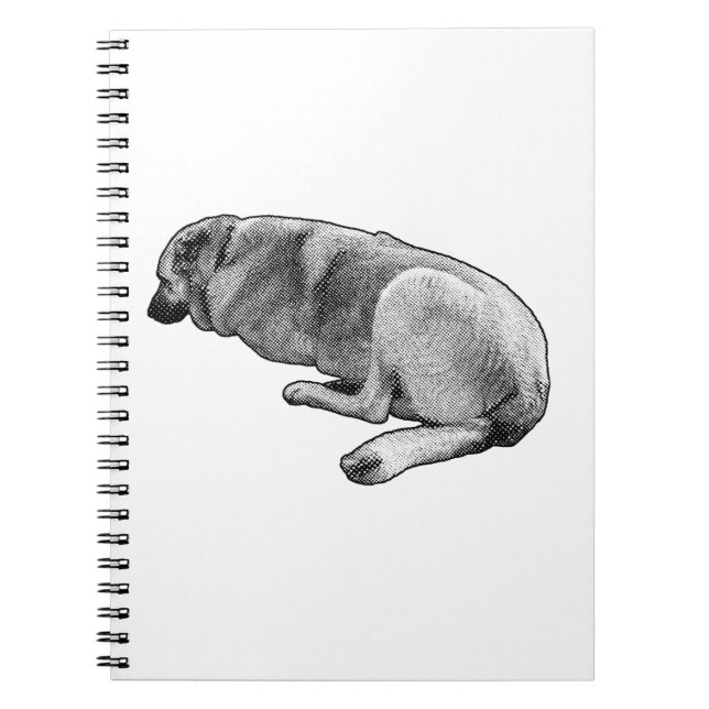 Thoughts That Stay Asleep Notebook (Front)