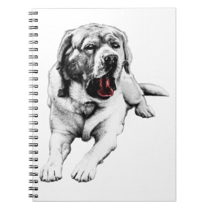 Thoughts with a Red Wink Notebook