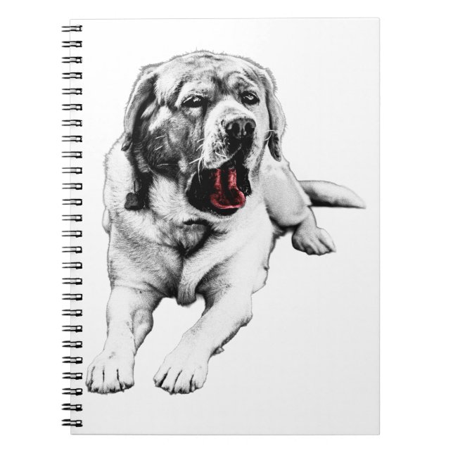 Thoughts with a Red Wink Notebook (Front)