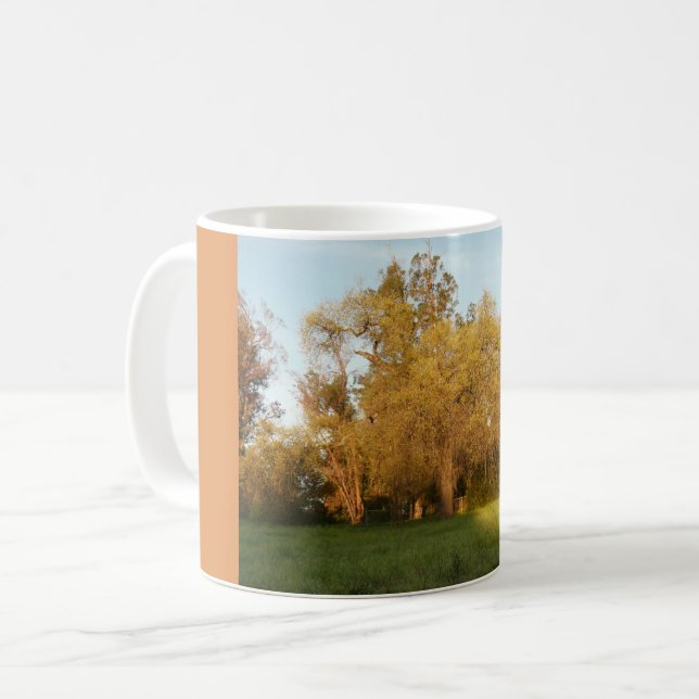 Thousand Oaks Park in San Jose, California Coffee Mug (Front Left)