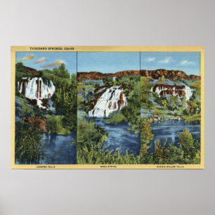 Thousand Springs, ID - Juniper, Wing, and Minnie Poster