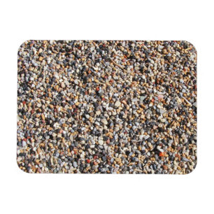 Thousands of Ant Hill Rocks Magnified Magnet