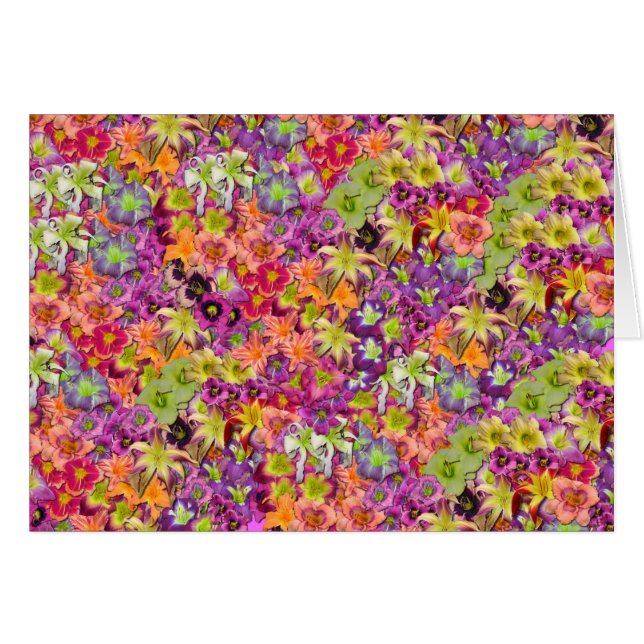 Thousands of Daylilies! (Front Horizontal)