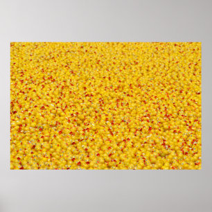 Thousands of ducks poster