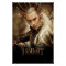 Thranduil Character Poster 1