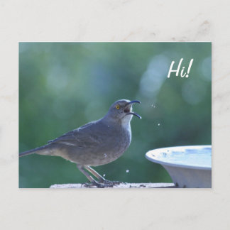 Thrasher Splasher Postcard