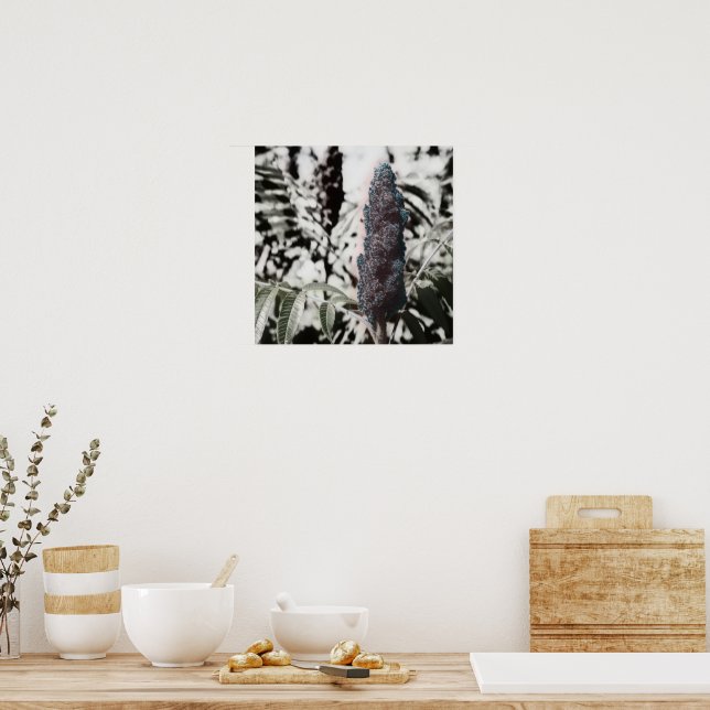 Three 16" poster (Kitchen)