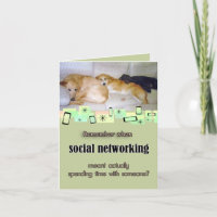 Three Adorable Dogs Birthday Greeting Card