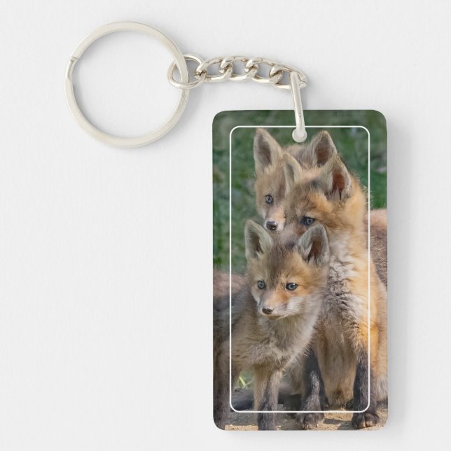 Three Alert Fox Kits Key Ring (Front)