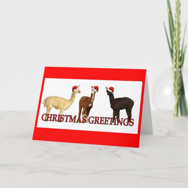 Three Alpaca Santas Holiday Card (Front)